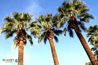 01-28-18 - Palm Springs Heroes in Recovery 6K